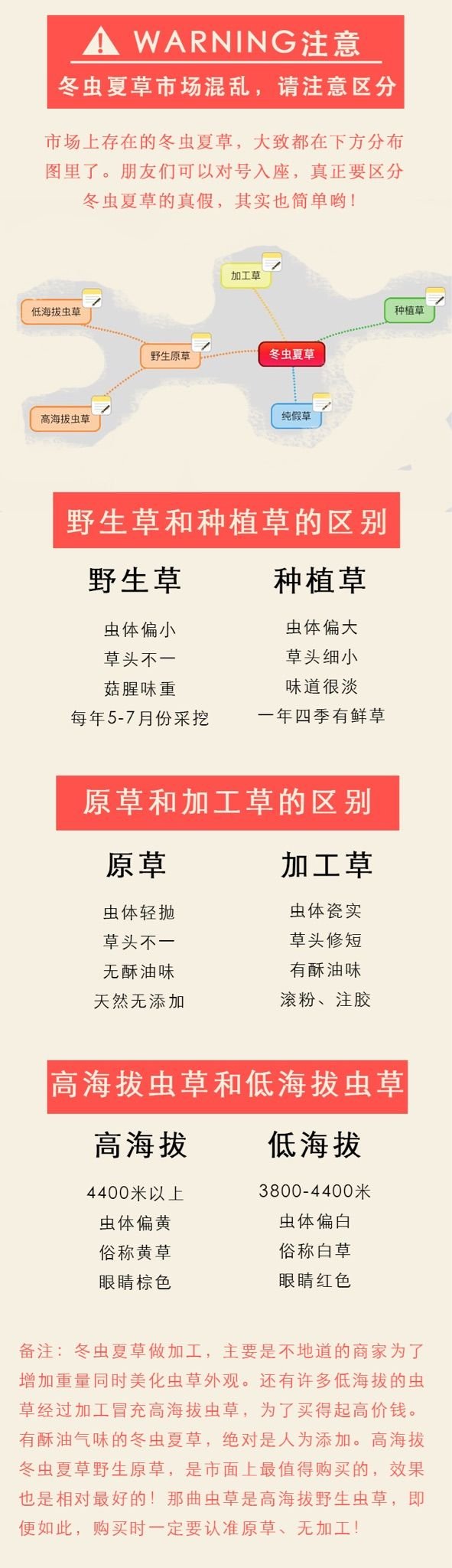 青海虫草网 冬虫夏草鉴别
