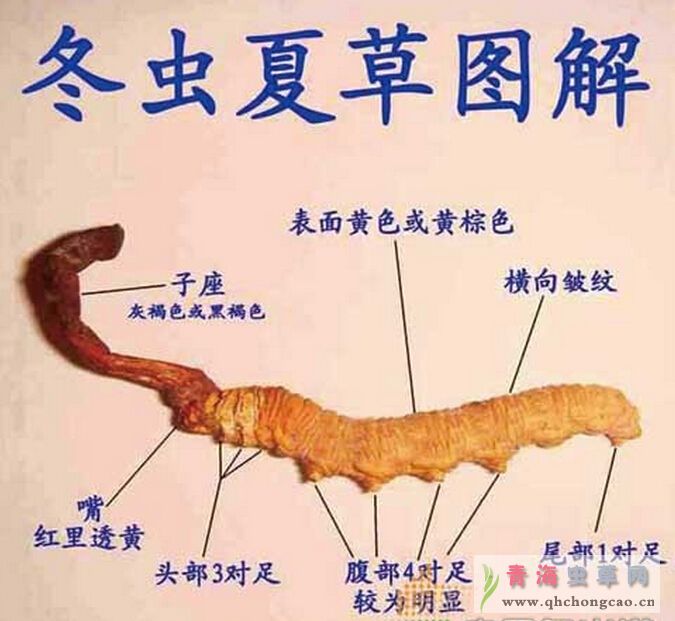 点此在新窗口浏览图片