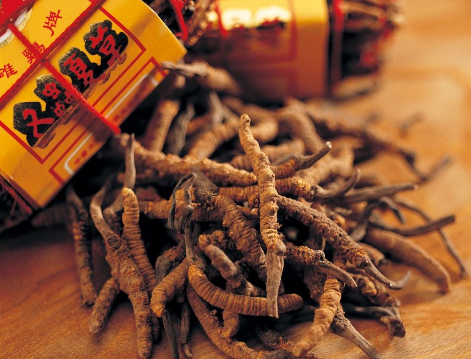 点此在新窗口浏览图片