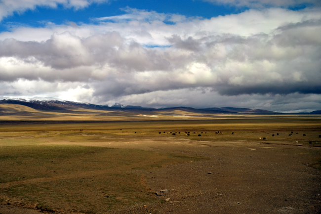 点此在新窗口浏览图片