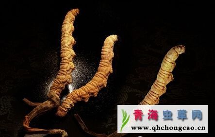 点此在新窗口浏览图片