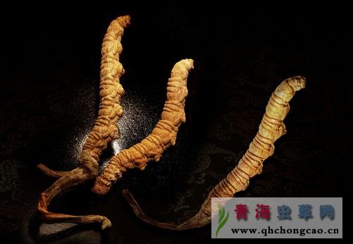点此在新窗口浏览图片