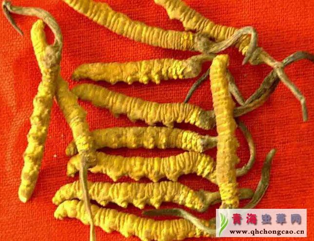 点此在新窗口浏览图片