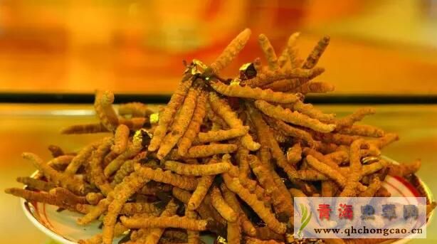 点此在新窗口浏览图片