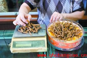 点此在新窗口浏览图片