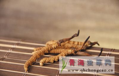 点此在新窗口浏览图片