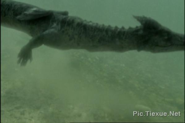 点此在新窗口浏览图片