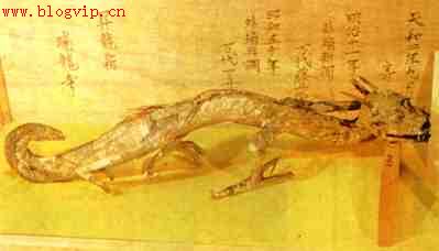 点此在新窗口浏览图片