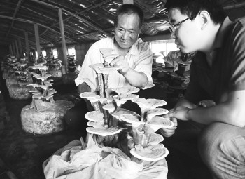 点此在新窗口浏览图片