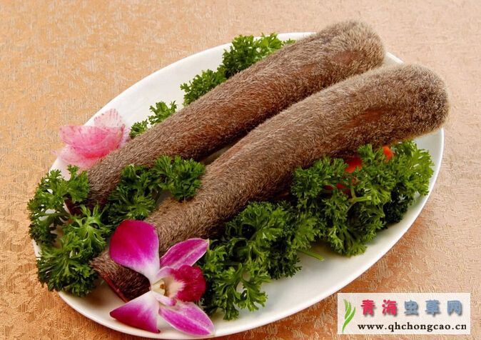 点此在新窗口浏览图片