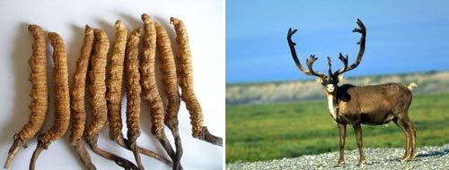 点此在新窗口浏览图片