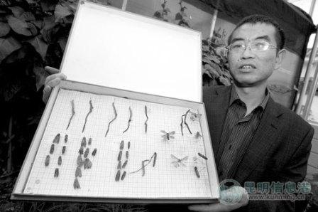 点此在新窗口浏览图片