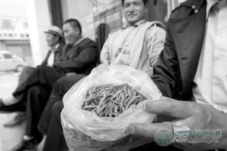 点此在新窗口浏览图片