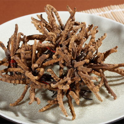 点此在新窗口浏览图片