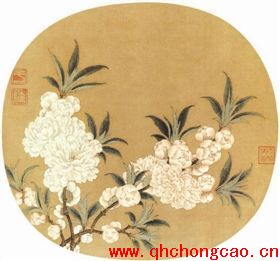 点此在新窗口浏览图片