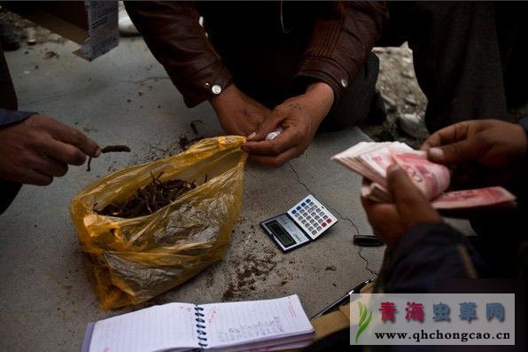 点此在新窗口浏览图片