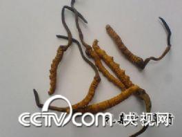 点此在新窗口浏览图片