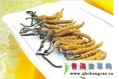点此在新窗口浏览图片