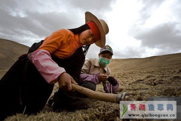 点此在新窗口浏览图片