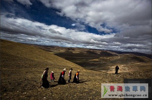 点此在新窗口浏览图片