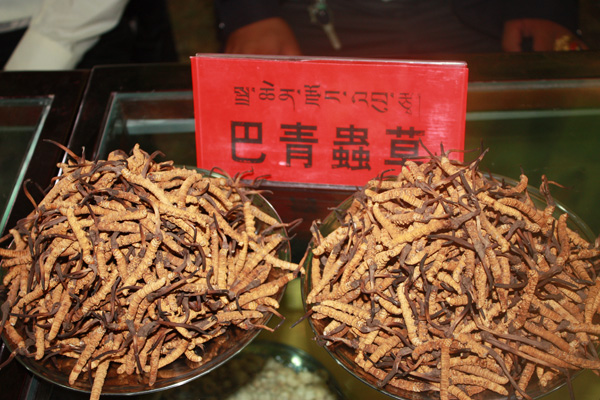 点此在新窗口浏览图片