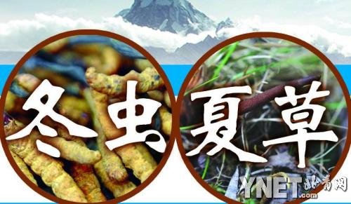 点此在新窗口浏览图片