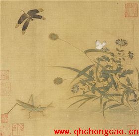点此在新窗口浏览图片