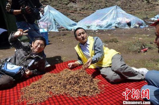 点此在新窗口浏览图片