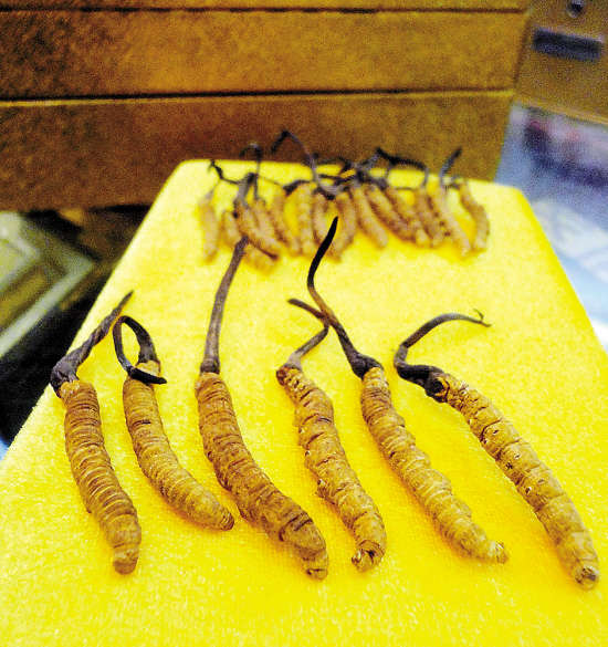 点此在新窗口浏览图片