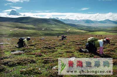 点此在新窗口浏览图片