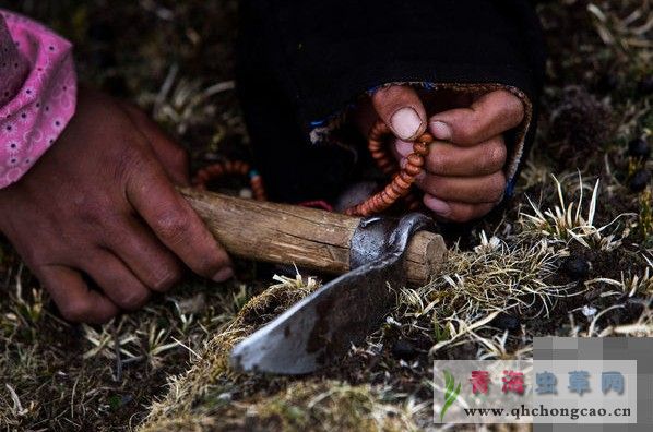 点此在新窗口浏览图片
