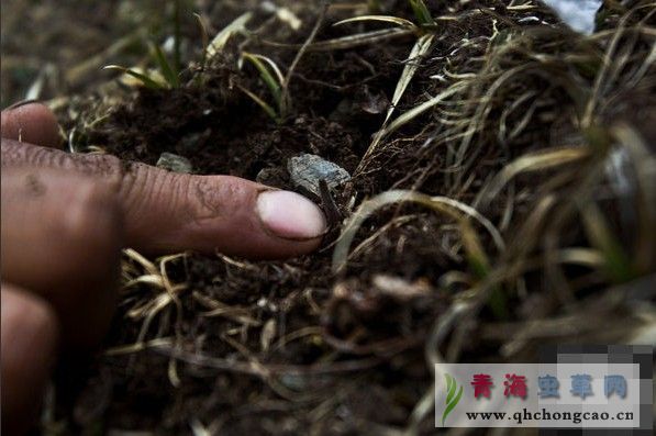 点此在新窗口浏览图片