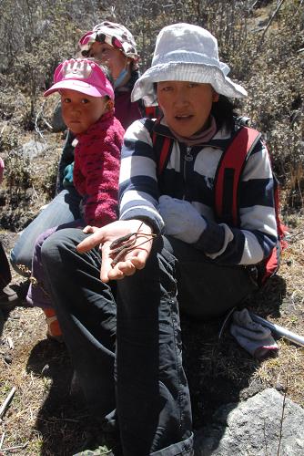 点此在新窗口浏览图片