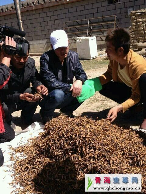 点此在新窗口浏览图片