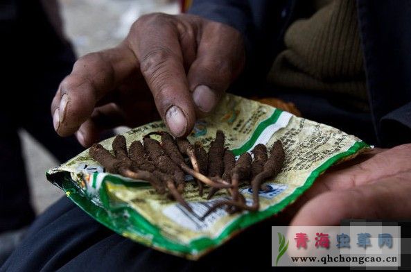点此在新窗口浏览图片