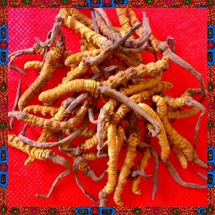 点此在新窗口浏览图片